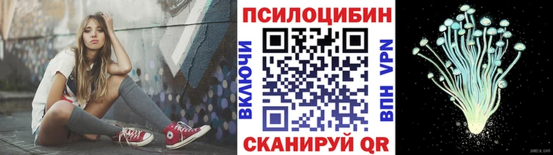 купить наркотики цена  Пятигорск  Галлюциногенные грибы Psilocybine cubensis 